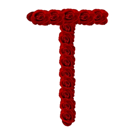 õ�廨��ĸT���PNG���ͼ