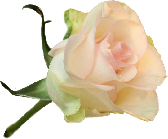 �����õ�廨��дPNG���ͼ