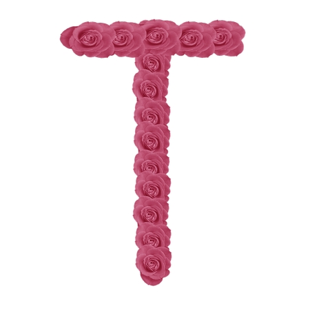 ��������з�ɫõ�廨�Ƴɵ���ĸT PNG���ͼ