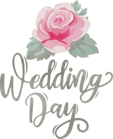 ���ɰ���ɫõ�廨�Ļ��������PNG���ͼ