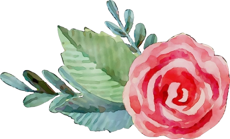 ����Ҷ�ķ�ɫˮ��õ�廨PNG���ͼ