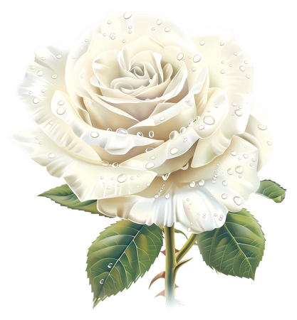 ��ˮ�εİ�õ��PNG���ͼ