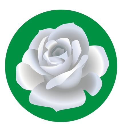 ��ɫ�����ϵİ�õ��PNG���ͼ