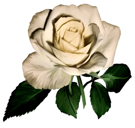 ����Ҷ�����Ű�õ��PNG���ͼ