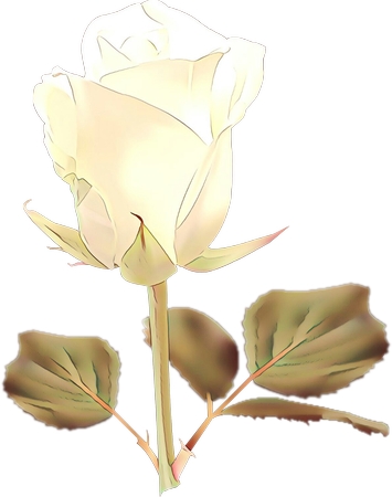 �����İ�õ��廭PNG���ͼ