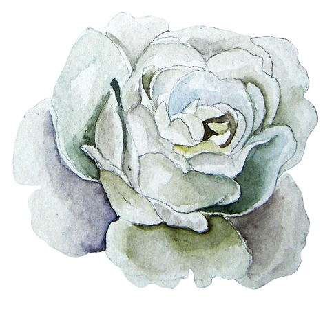 ˮ�ʰ�õ��PNG���ͼ