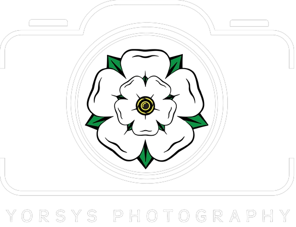 ��õ�����PNG���ͼ