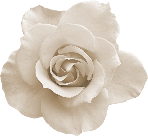 ��������������Ű�õ��PNG���ͼ