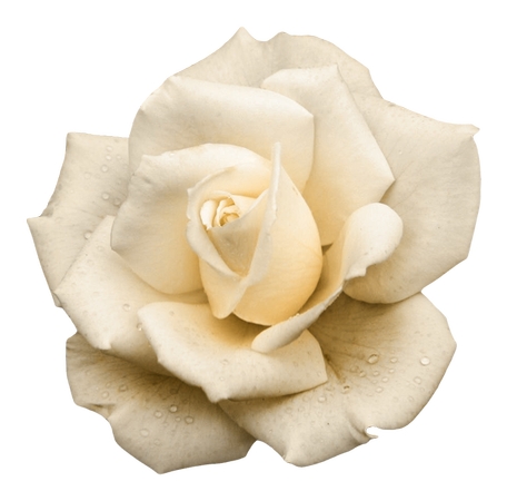 ʢ�������Ű�õ��PNG���ͼ