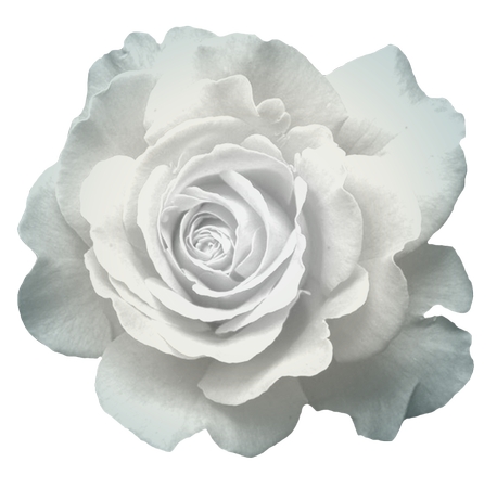 ʢ����������õ��PNG���ͼ