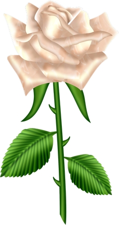 ����Ҷ��������õ��PNG���ͼ