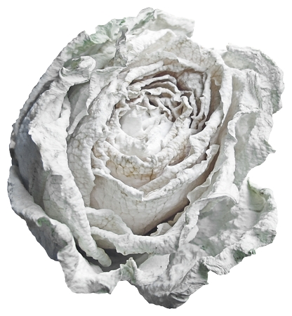 ��õ����дPNG���ͼ