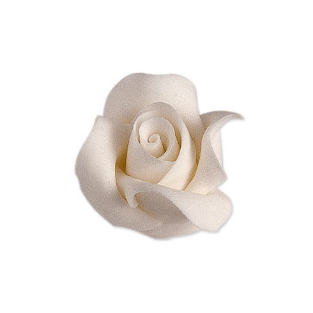 ��������İ�õ�廨PNG���ͼ