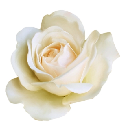 ���Ͱ�õ��PNG���ͼ