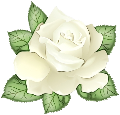 ����Ҷ�İ�õ��廭PNG���ͼ