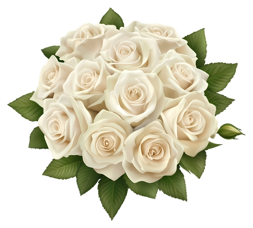 �������Ż���װ�εİ�õ�廨��PNG���ͼ