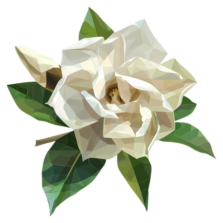 ��Ҷ�ӵİ�õ��ֲ��廭PNG���ͼ