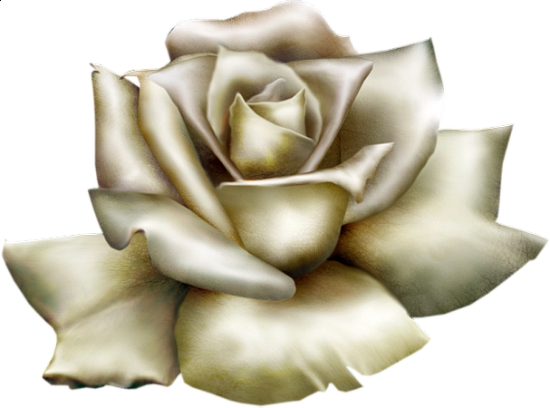 ��������İ�õ��廭���PNG���ͼ