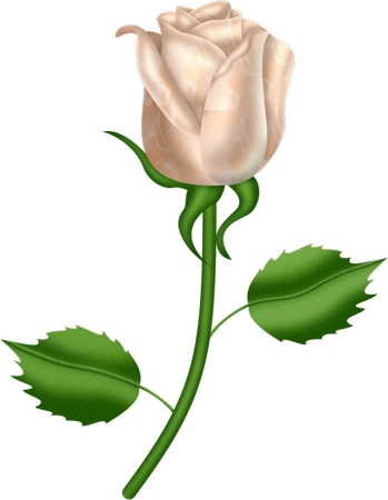 ����Ҷ�����Ű�õ��PNG���ͼ