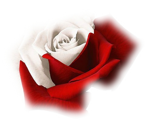 ��������ĺ��õ��PNG���ͼ