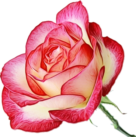 ���ŵķ۰�õ��廭PNG���ͼ