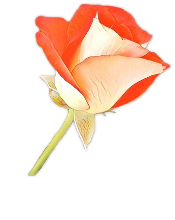 ���õ��廭PNG���ͼ