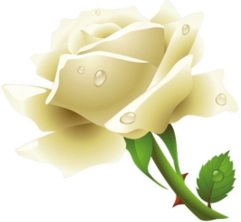 ��¶��İ�õ��ֲ��廭PNG���ͼ