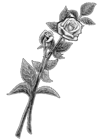 ��ϸ�ĺڰ�õ������PNG���ͼ