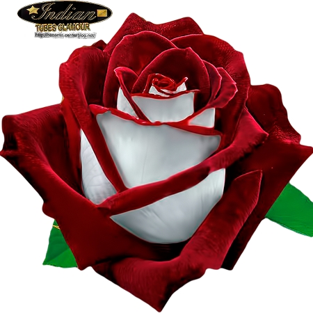 ���ŵĺ��õ��PNG���ͼ