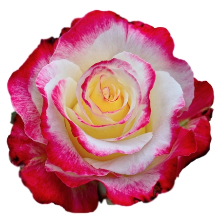 �����ĺ��õ��PNG���ͼ