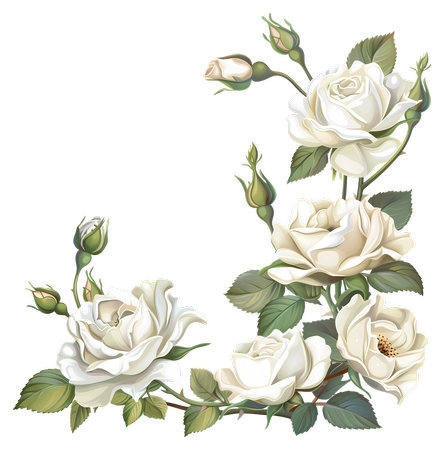 �����ٵİ�õ�廨��PNG���ͼ