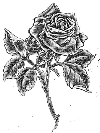 ���ӵĺڰ�õ������廭PNG���ͼ