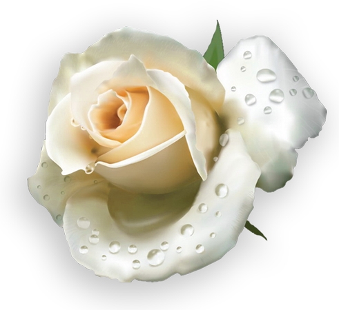 ��ˮ�εİ�õ��PNG���ͼ