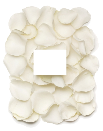 ���β��õİ�õ�廨��PNG���ͼ