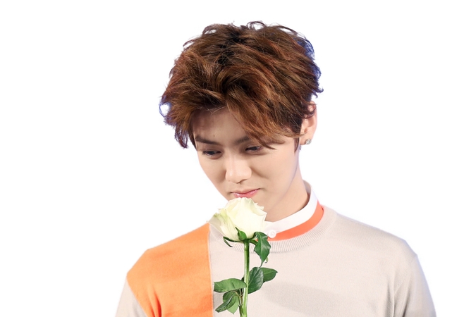 �ְֳ�õ�����PNG���ͼ