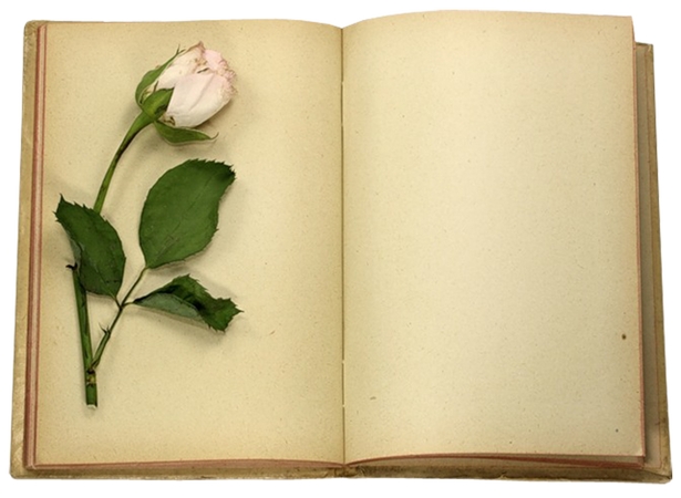 ����õ��Ĵ��鱾ҳ��PNG���ͼ