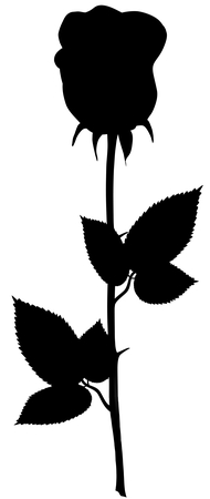 ������õ���ӰPNG���ͼ