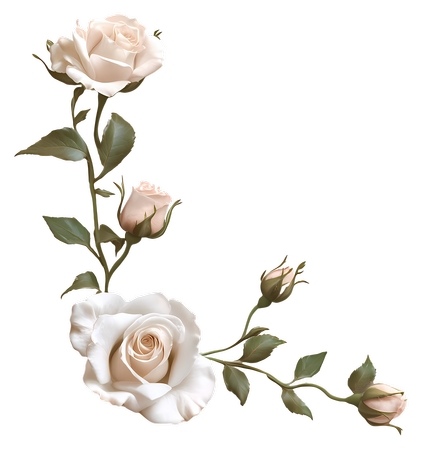 ��õ��֦��PNG���ͼ