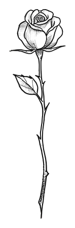 �ֻ�õ��廭PNG���ͼ