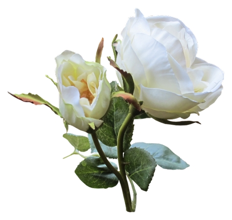 �����ٵ����ų��ϰ�õ��PNG���ͼ