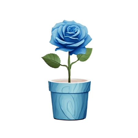 װ�λ����е���õ��PNG���ͼ