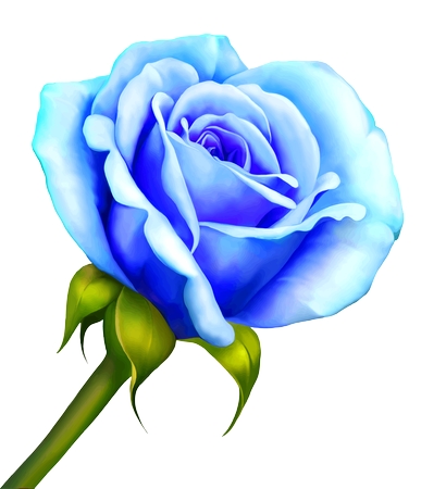 ������õ�廨PNG���ͼ