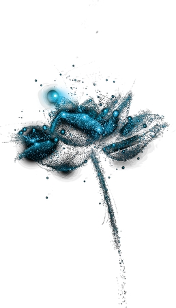 ������õ��PNG���ͼ