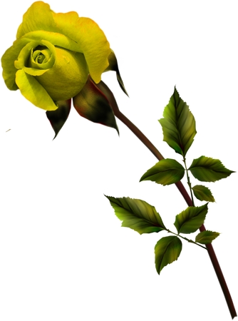 ����Ҷ�Ļ�õ��PNG���ͼ