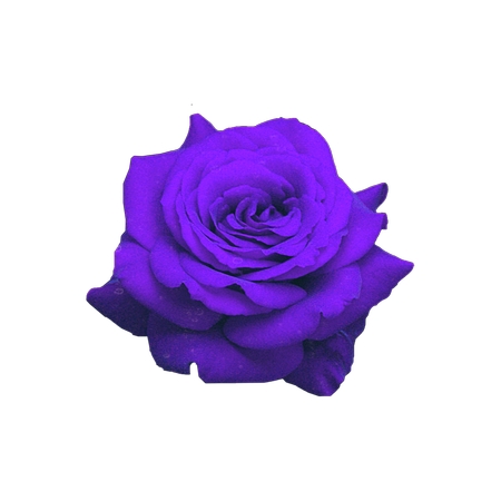 ������õ�廨��PNG���ͼ