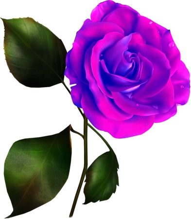 ��Ҷ�ӵ�������õ��PNG���ͼ