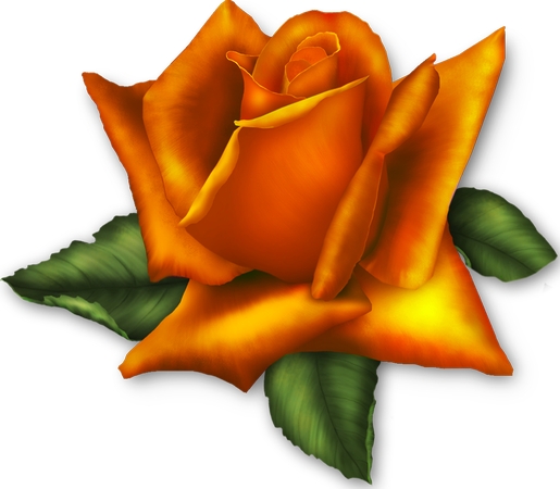 ����Ҷ�ĳȱ���õ��PNG���ͼ