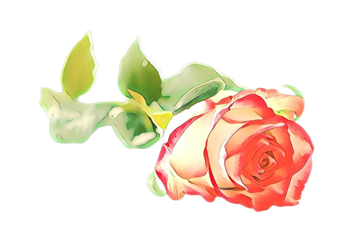 ˮ�ʺ�õ��廭PNG���ͼ