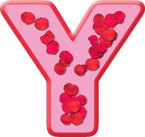 װ������ĸY��õ�廨��PNG���ͼ