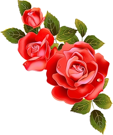 ��ïʢ��Ҷ�ĺ�õ��PNG���ͼ